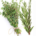 White Thyme & Rosemary Fragrance Oil 940