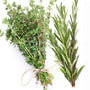 White Thyme & Rosemary Fragrance Oil 940