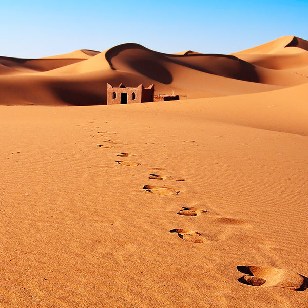 Sands of Morocco Essential Oil and Fragrance Blend 174 - Zoom Media 1