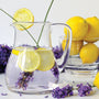 Citrus Lavender - Natural Fragrance Oil (Special Order)
