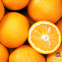 Orange Fragrance Oil - FF# 3 - 11851