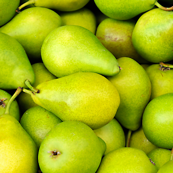 Pear Fragrance Oil - FF# 27 (Special Order)