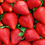 Strawberry Fragrance Oil - FF# 31 - 11878