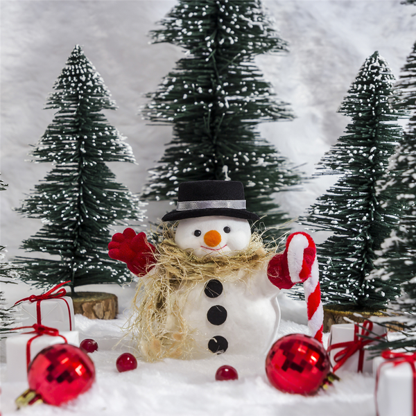 Snowman Poop Fragrance Oil (Special Order)