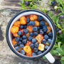 Huckleberry & Mandarin Fragrance Oil - Zoom Thumbnail Media 1