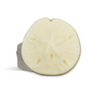 Sand Dollar Lotion Bar Kit - Zoom Thumbnail Media 1
