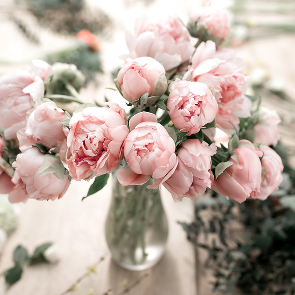 Evelyn Rose* Fragrance Oil 1036 - Crafter's Choice - Fragrance