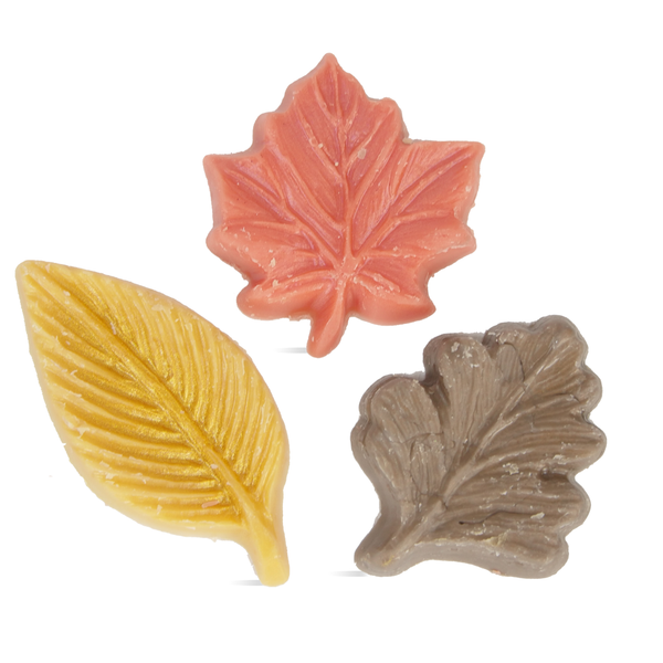 Apple Cider Wax Melt Kit