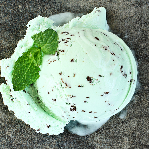 Mint Chocolate Chip Fragrance Oil 1003 - Crafter's Choice
