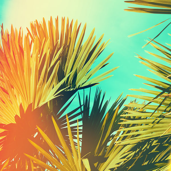 Sunbliss* Fragrance Oil 839