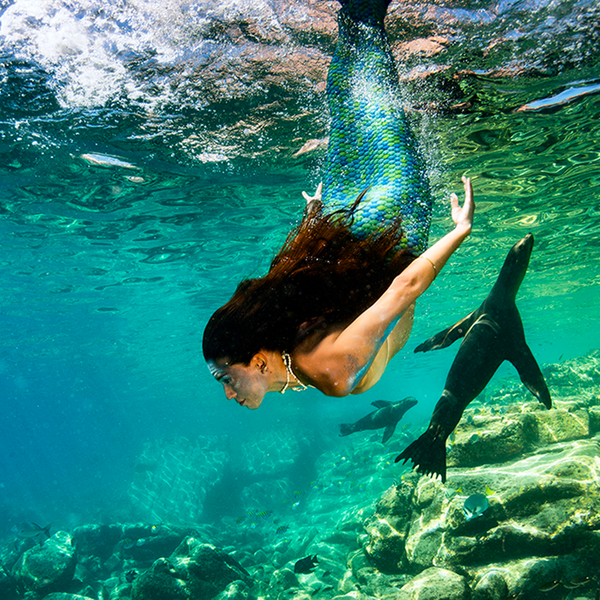 Salt Water Mermaid Fragrance Oil 791