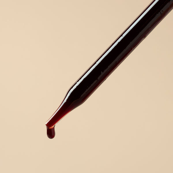 Elderberry Extract - Water Soluble