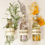 Essential Hydrosols Sample Set - Zoom Thumbnail Media 1