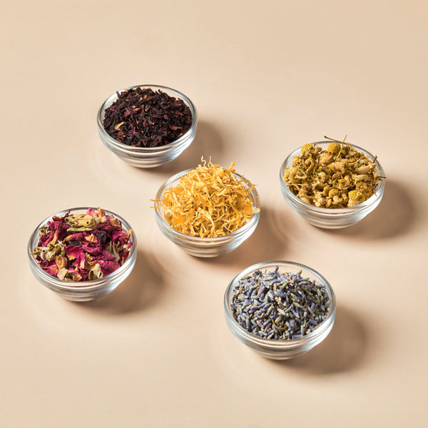 Best Selling Botanical & Herb Sample Set - Zoom Media 1
