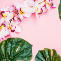 Aloha Orchid* Fragrance Oil 1080