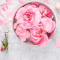 Peony & Rosewater - Natural Fragrance Oil 1098