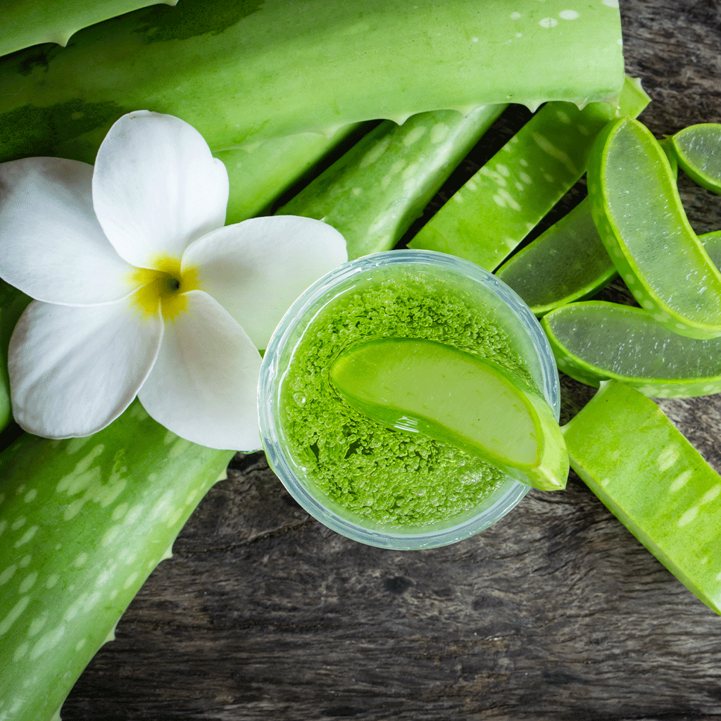 Cactus Flower & Aloe Fragrance Oil 1104