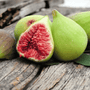 Fiddle Leaf Fig Fragrance Oil - Zoom Thumbnail Media 1