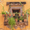 Tumbleweed & Terracotta Fragrance Oil