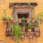 Tumbleweed & Terracotta Fragrance Oil - Zoom Thumbnail Media 1