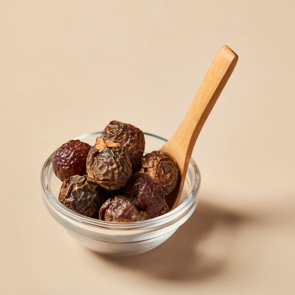 Soap Nuts