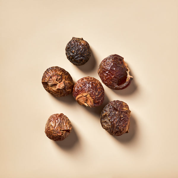 Soap Nuts