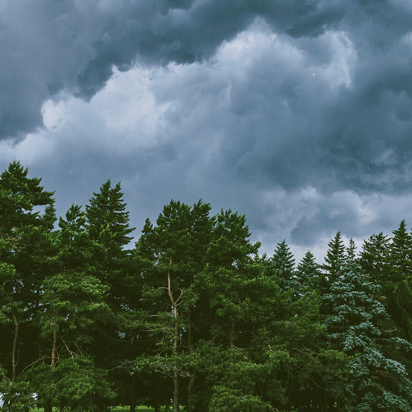 Stormlands Fragrance Oil (Special Order)