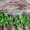 Dirty Fragrance Oil