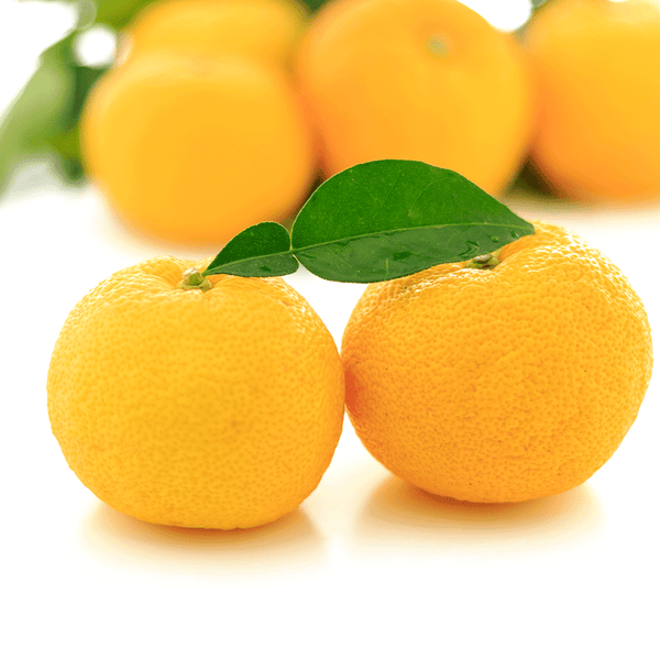 Yuzu II Fragrance Oil 1019