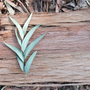 Sandalwood Eucalyptus Fragrance Oil 1176