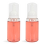Basic Foaming Hand Soap Kit