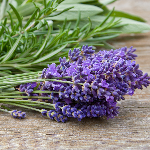 Lavender Sage - Natural Fragrance Oil 913
