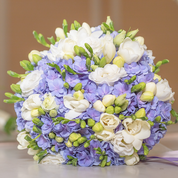 Chamomile & White Freesia - Natural Fragrance Oil 1197