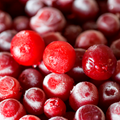Frosted Lingonberry Fragrance Oil