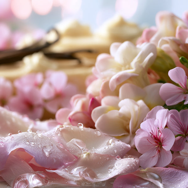 Rose Petal & Vanilla - Natural Fragrance Oil 1208 - Zoom Media 1
