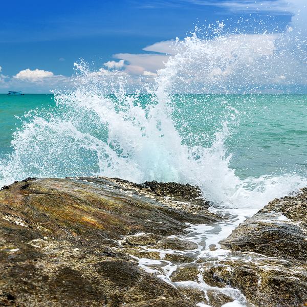 Ocean Mist & Sea Salt - Natural Fragrance Oil 1227