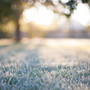 Crisp Morning Air Fragrance Oil 293