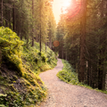 The Great Outdoors Fragrance Oil 546