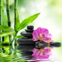 Bamboo Water & White Orchid Fragrance Oil - Zoom Thumbnail Media 1