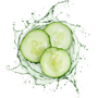 Cucumber Water Essential Hydrosol