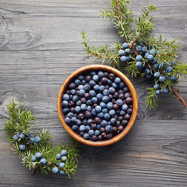 Juniper & Coriander Fragrance Oil - Zoom Media 1