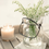 White Patchouli Fragrance Oil 1128