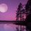 Moonlight Path* Fragrance Oil 316