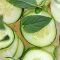 Cucumber Mint Fragrance Oil 312