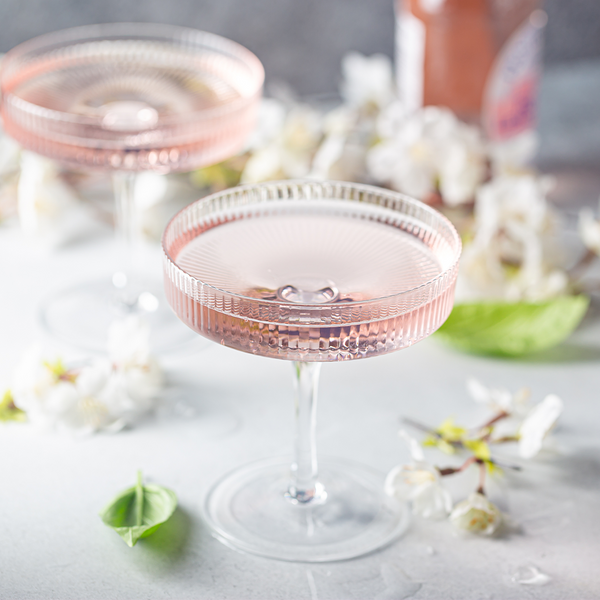 Blush Petals Fragrance Oil