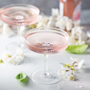 Blush Petals Fragrance Oil
