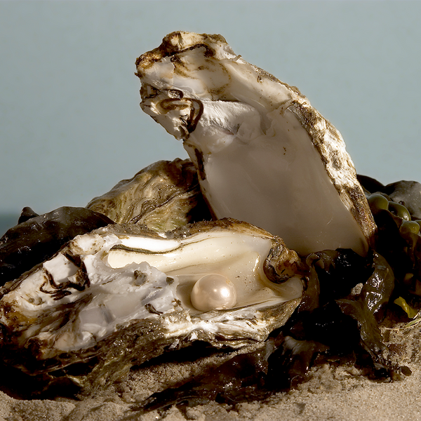 Ocean Pearls Fragrance Oil