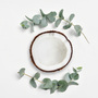 Coconut Eucalyptus Fragrance Oil - Zoom Thumbnail Media 1