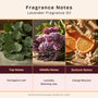 Lavender Fragrance Oil 20108 - Zoom Thumbnail Media 2