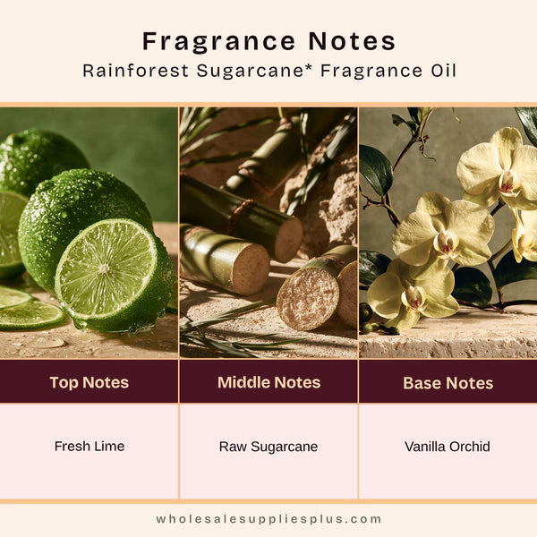 Rainforest Sugarcane* Fragrance Oil 20253 - Zoom Media 2